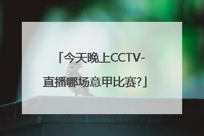 今天晚上CCTV-直播哪场意甲比赛?