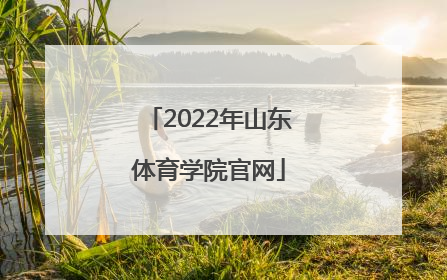 「2022年山东体育学院官网」山东体育学院2022录取查询官网