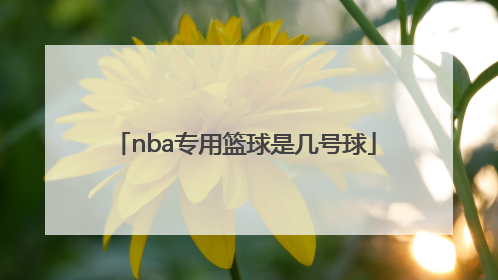 「nba专用篮球是几号球」NBA专用篮球图片