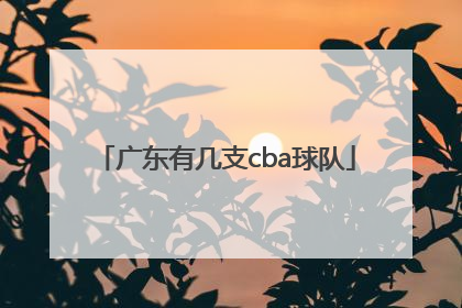 广东有几支cba球队「广东有多少支CBA」