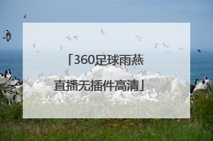 「360足球雨燕直播无插件高清」360足球雨燕直播500
